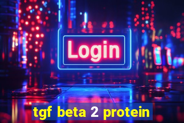 tgf beta 2 protein